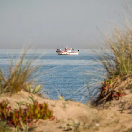 1-pokojowy, Wspaniały W Denii * Denia
